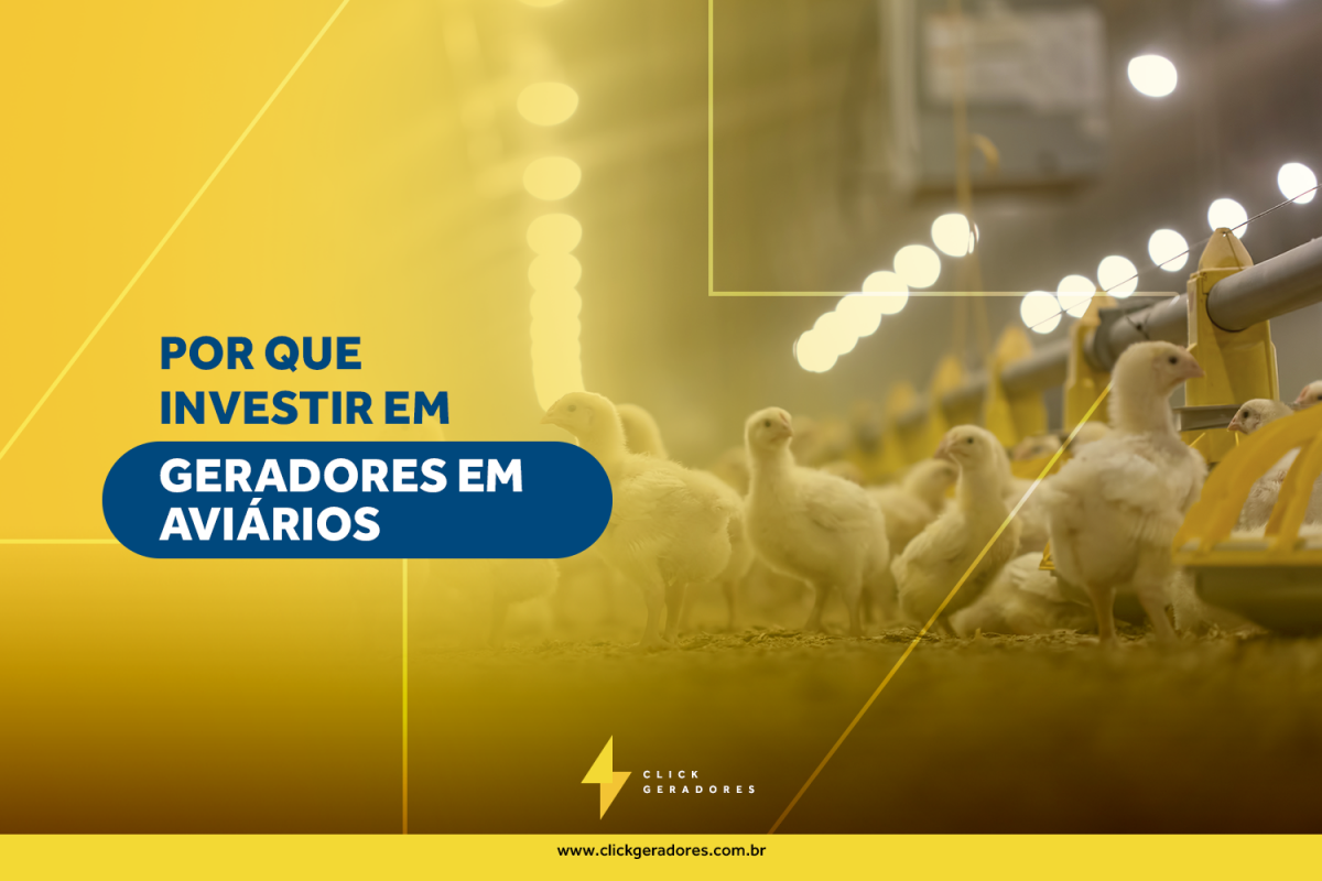 Por que investir em geradores em aviários