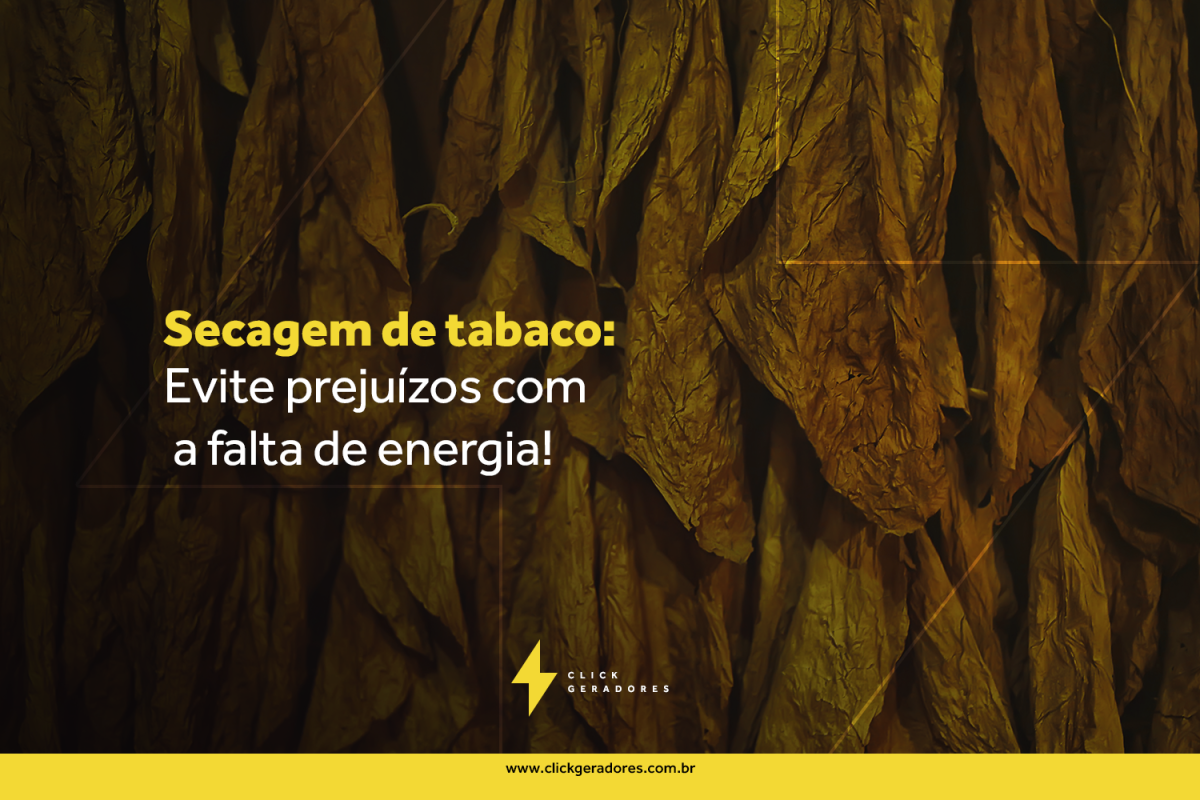 Secagem de tabaco: evite prejuízos com a falta de energia