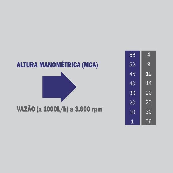 Motobomba Centrífuga Buffalo BFD 2.1/2 x 2 Pol. 7.0cv - Diesel - Partida Manual