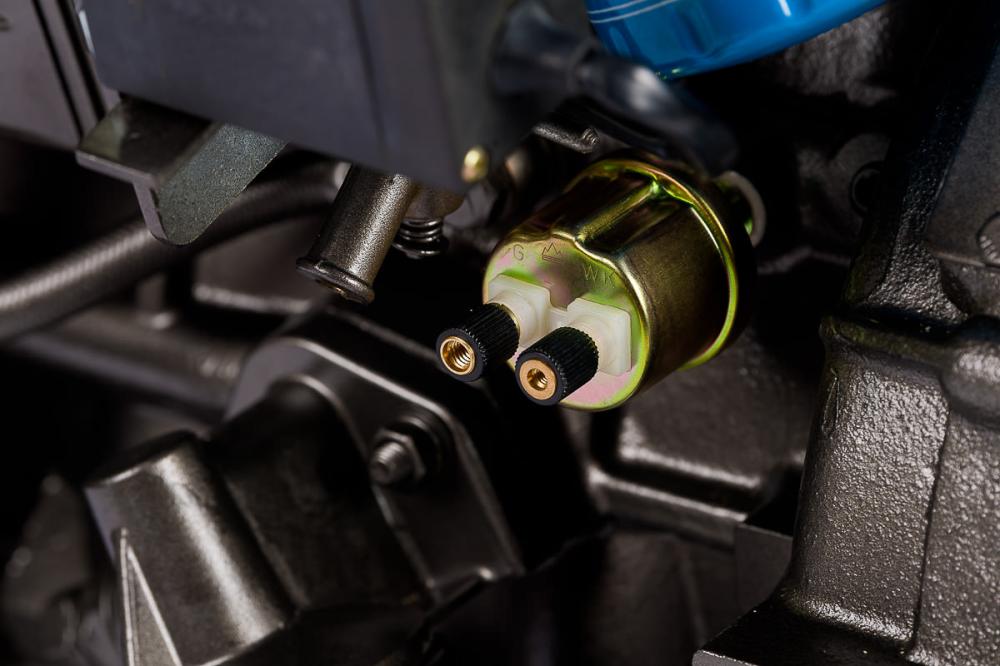 Motor Estacionário Branco BD-30 E 30 CV 3 Cilindros 1800 RPM a Diesel - Partida Elétrica